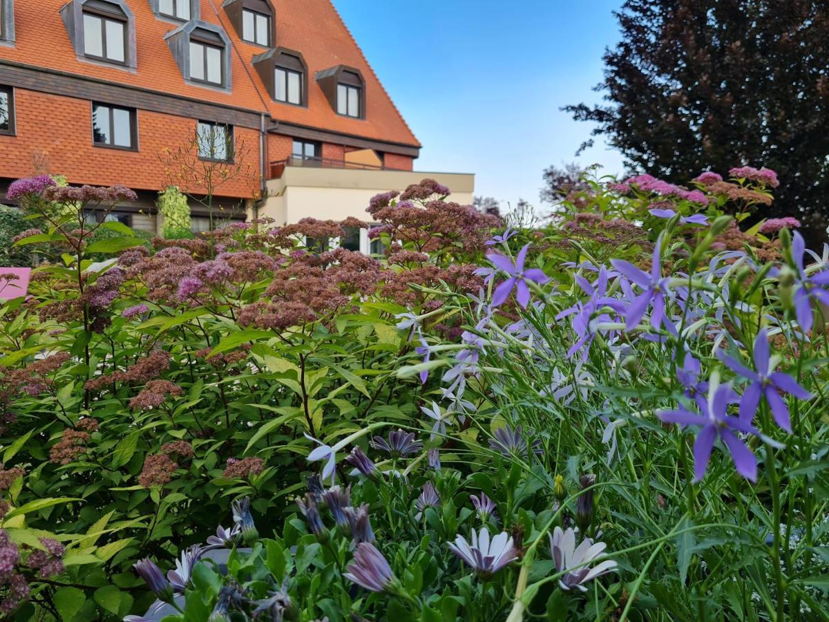 Hotel L'Europe Horbourg-Wihr Eksteriør bilde