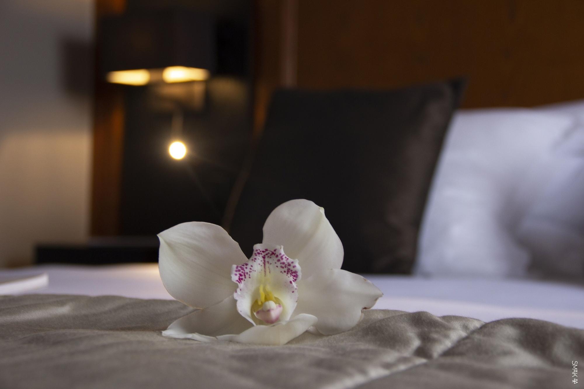 Hotel L'Europe Horbourg-Wihr Eksteriør bilde